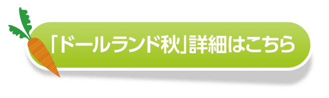 「ドールランド秋」詳細はこちら